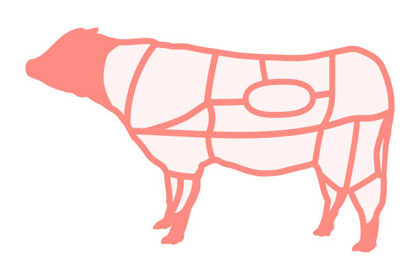 牛肉部分地图孤立的矢量插图。图片下载