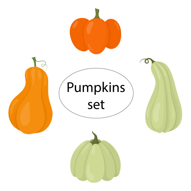 南瓜向量集合。一组不同颜色和形状的南瓜。图片下载