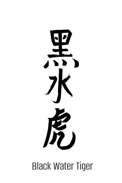 手绘象形文字翻译黑水虎-象征中国新年2022。矢量日本黑色符号在白色背景与文本。毛笔书法。中国书法的字母图标图片下载