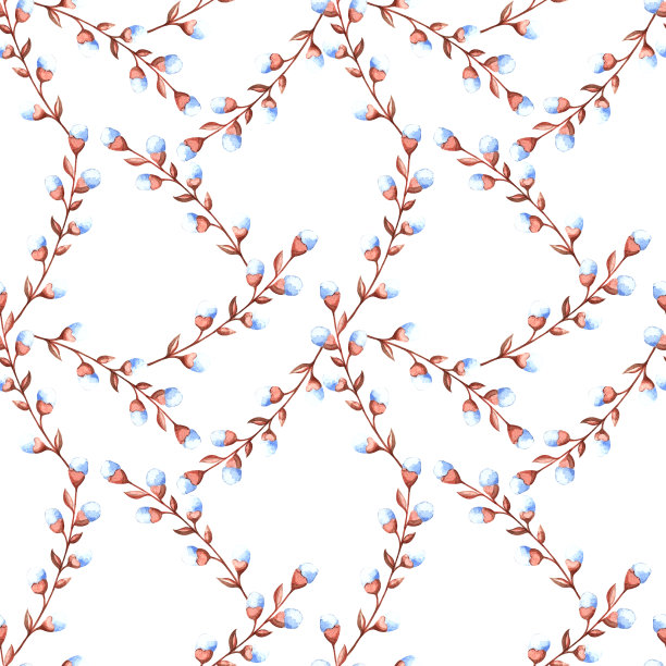 水彩无缝图案柳枝，细枝与芽，细枝干花上的白色背景。图片下载