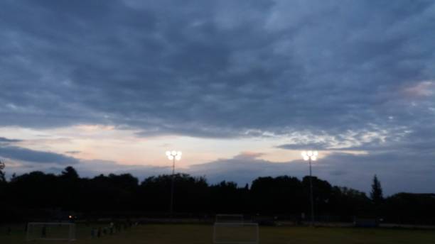 奶油蘑菇图片下载