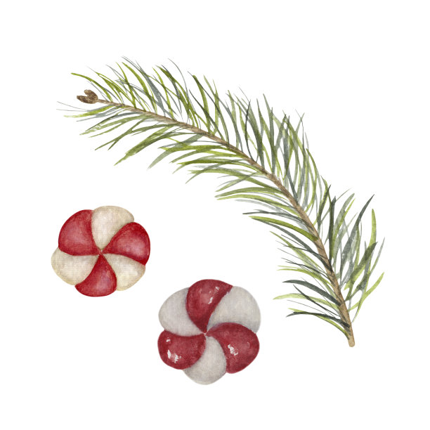 两颗红糖和白糖和一根冷杉树枝图片下载