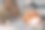 女企业家在圣诞节在办公室用笔记本电脑在线工作，背景是圣诞树图片下载