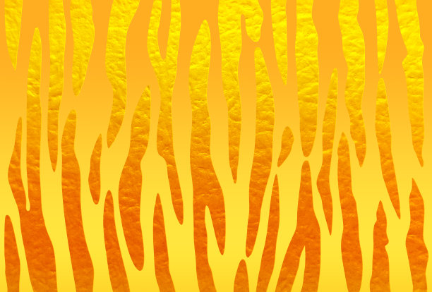 金虎图案与日本纸纹理。图片下载