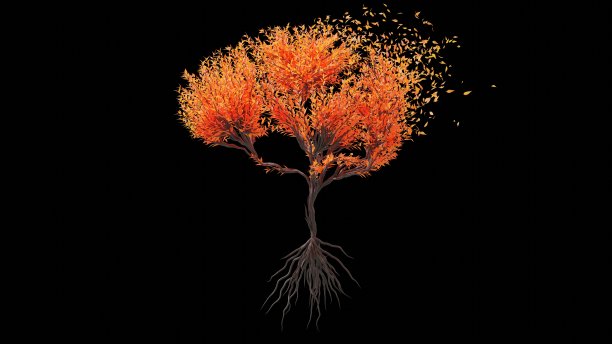 人类大脑形状的树。在黑色背景上的季节过渡。环保的概念。图片下载