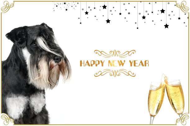 贺卡新年狗图片下载