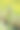 大麦黄矮病(BYD)是由大麦黄矮病毒(BYDV)引起的一种植物病害，是谷物中分布最广泛的病毒性病害。症状-小麦上有红叶。图片下载
