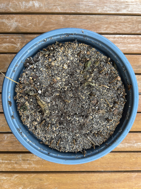 木桌上的陶土罐。图片下载