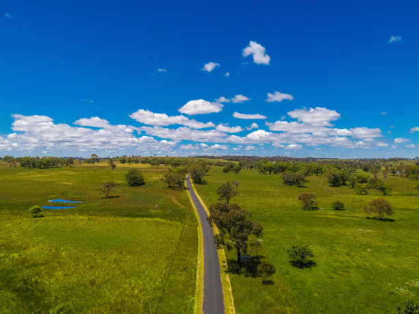 澳大利亚新南威尔士州的红牧场图片下载