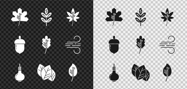 Set leaf or leaves洋葱、橡子和图标图片下载