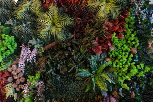 自然背景图片下载