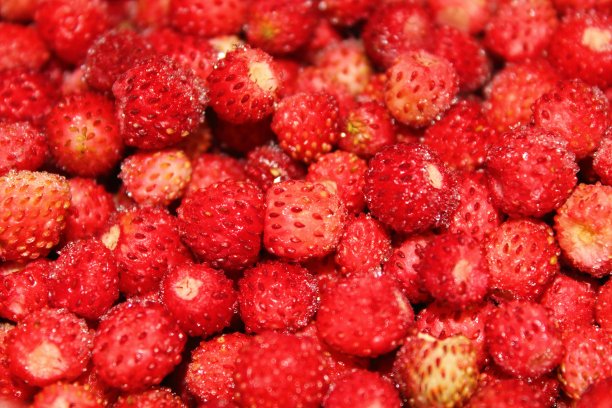 冰箱里的新鲜冷冻草莓。特写镜头。背景。纹理。图片下载