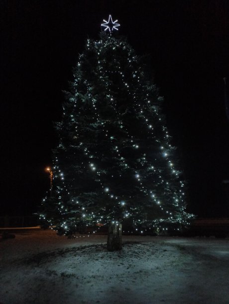 圣诞树图片下载