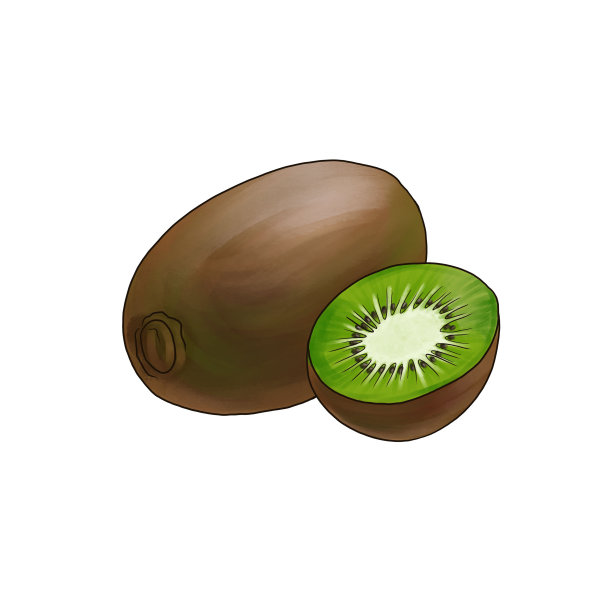 猕猴桃，在白色背景上画水果图片下载