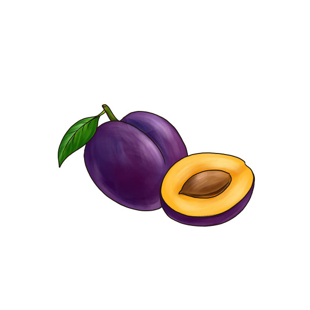 在白色底色上画李子、水果图片下载