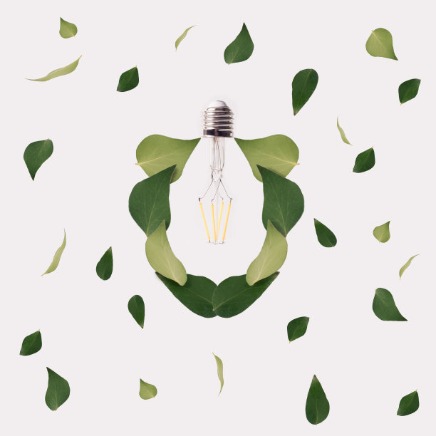 绿色的叶子在白色的背景上形成一个led灯泡的形状。图片下载