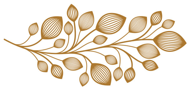 花卉矢量设计与叶和分枝隔离在白色，古典优雅的时尚风格旗帜或文字分隔设计，豪华复古线性徽标或框架元素。图片下载