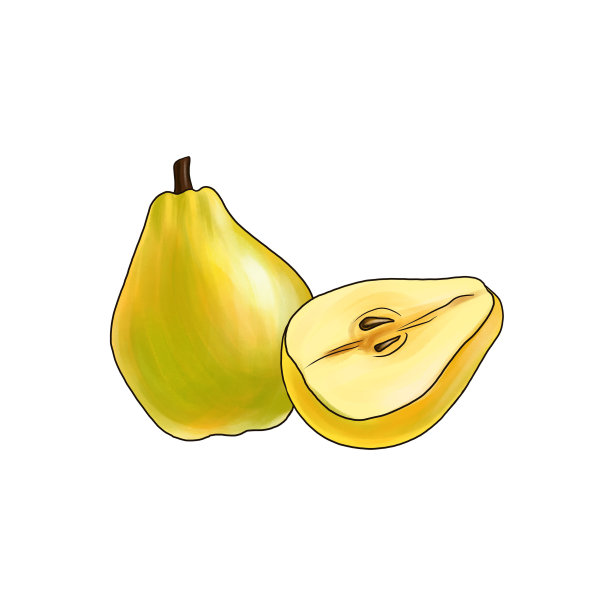 在白色底色上画梨、水果图片下载