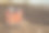 地上的砖玩具屋。棕色土地上的橙色房子。自己的住房和建筑的概念。背景是风景和树木。图片下载