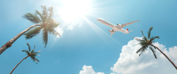 蔚蓝的天空和椰子树，飞机要去热带海滩。在暑假观光和放松。图片下载