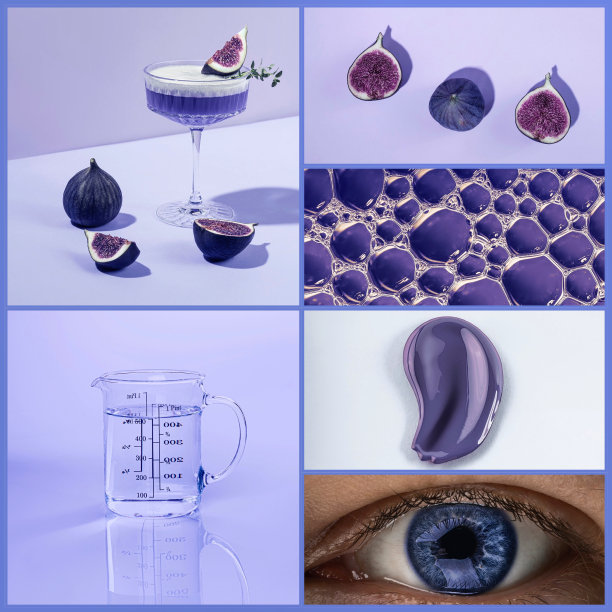 照片拼贴不同的图像。图片下载