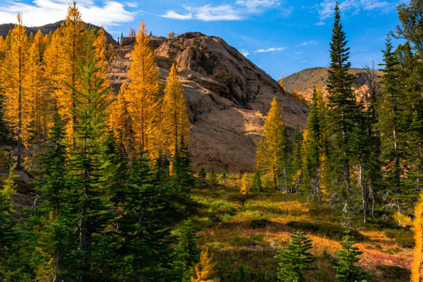 红色岩石山峰包围秋天森林场景与金松戏剧性的照明图片下载
