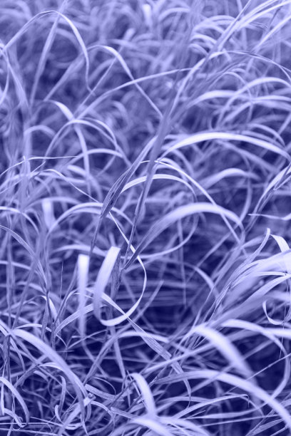 秋天的本性。干草非常周围的背景。田野里的日落。图片下载