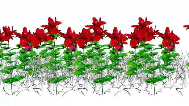 宽叶植物3D渲染图片下载