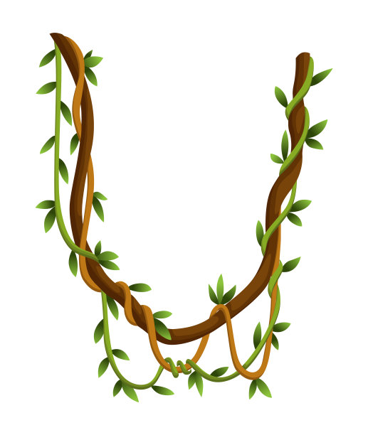 弯曲的野生藤本树枝横幅。丛林藤蔓植物。热带雨林植物群和外来植物。伍迪自然分支图片下载