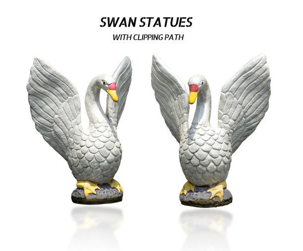 白天鹅雕像孤立的白色背景与剪辑路径。图片下载
