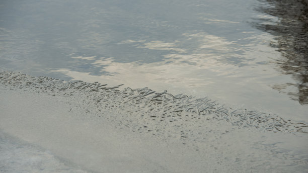 河中结冰的水。图片下载