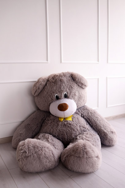 泰迪熊玩具在房间的地板上。垂直方向图片下载