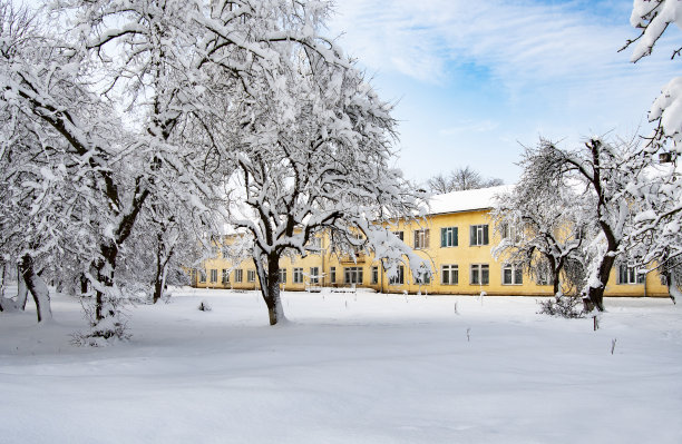 冬天的花园图片下载