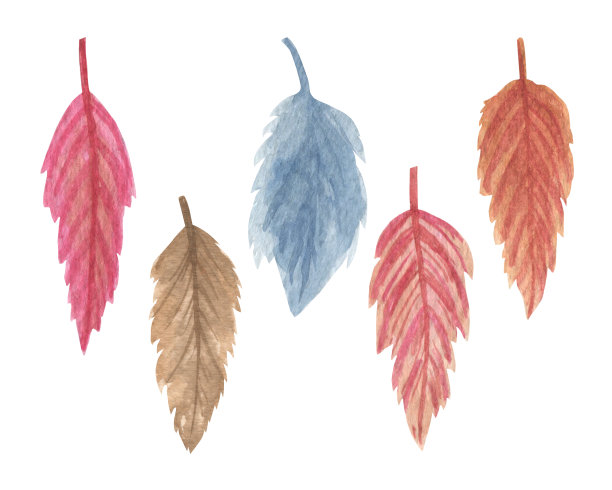 波希米亚水彩羽毛剪纸墙壁装饰图片下载