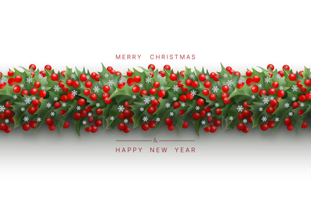 寒假以冬青图案为背景图片下载