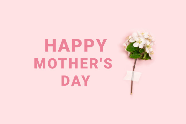白色精致的花樱桃枝在粉红色的背景与地方的文字。快乐母亲节理念图片下载