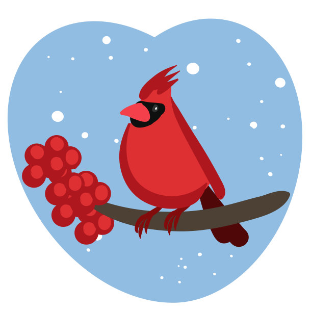 圣诞鸟与雪图片下载