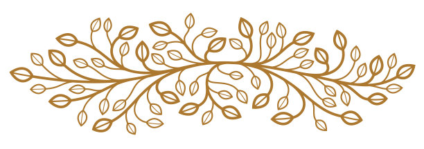 花卉矢量设计与叶和分枝隔离在白色，古典优雅的时尚风格旗帜或文字分隔设计，豪华复古线性徽标或框架元素。图片下载