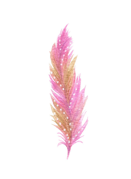 水彩鸟羽毛图片下载