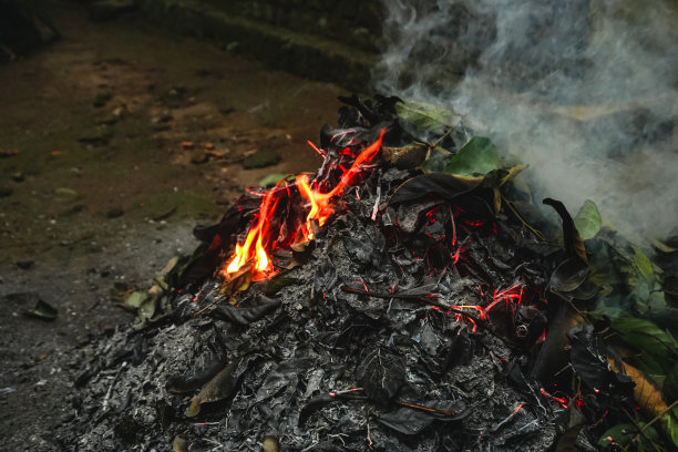 燃烧后仍是绿色的垃圾树叶图片下载