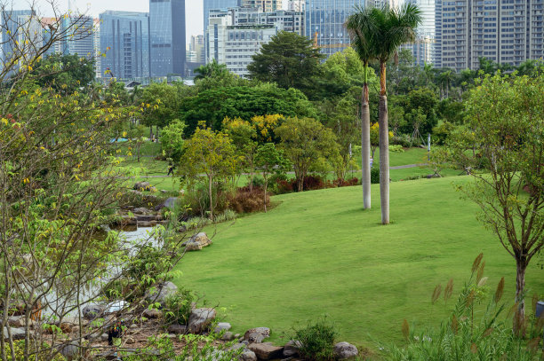 中国深圳福田区蜂蜜公园内的一幅轻松和谐的风景图片下载