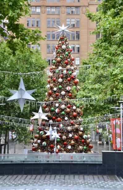 澳大利亚悉尼马丁广场著名的户外装饰圣诞树的肖像视图图片下载
