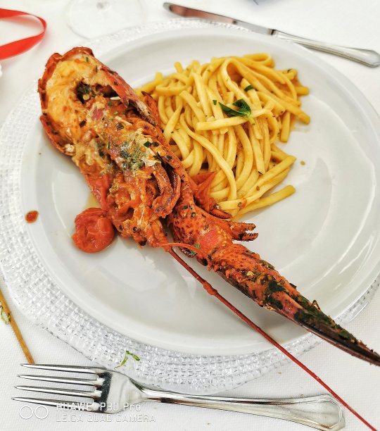 意大利面图片下载