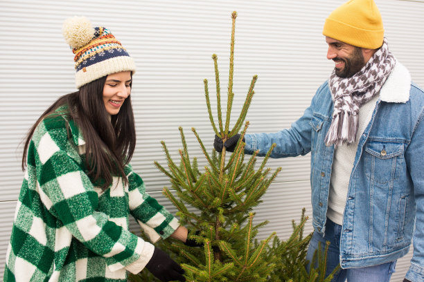 我们选了一棵完美的圣诞树图片下载