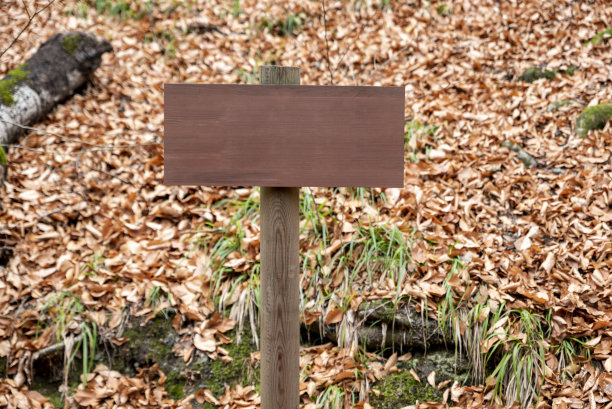 森林里的空木板图片下载