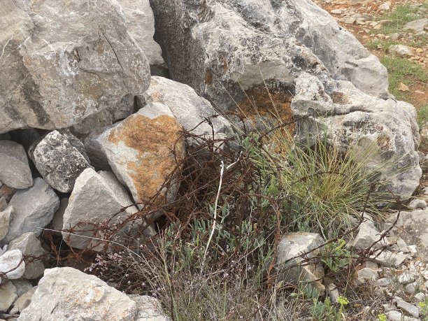 克罗地亚半岛普雷夫拉卡在科托尔湾与黑山边境-铁丝网图片下载