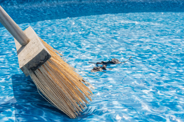 清扫树叶时骨头的特写，清理花园水池时旋转。为夏天做准备。图片下载