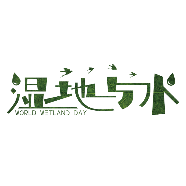 世界湿地日标题艺术字图片下载