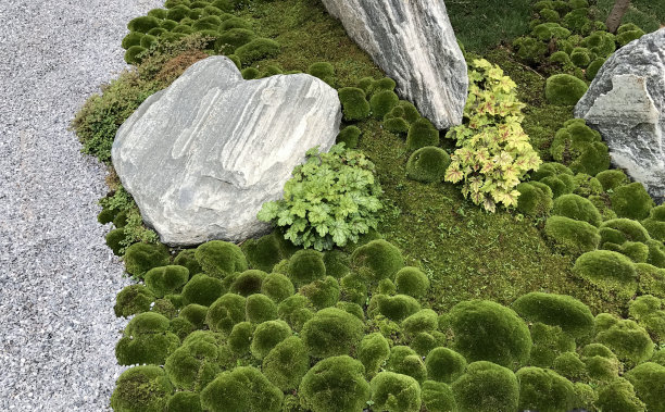 禅意花园细节图片下载