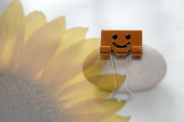 微笑可爱的夹夹坐在石头与黄色向日葵的背景。图片下载